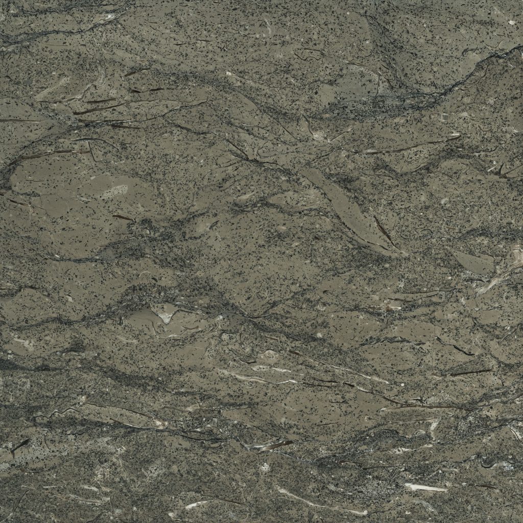 Anthony Gray Limeport Limeport